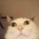 henry emote