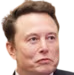 elonlooking emote