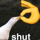 Shut static emote