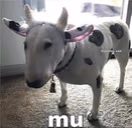 mu emote