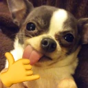 KOMPLETTLOCKA emote