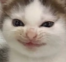 evil emote