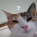 Whar emote