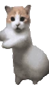 catTime6 emoji