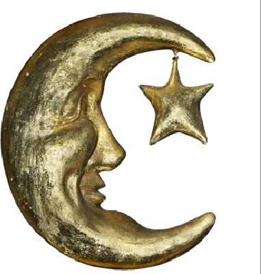 Moon emote
