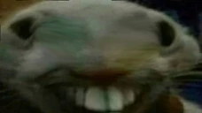 xpp emote