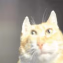 yeah emote