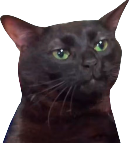 zoningoutcat emote