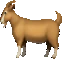 rainbowgoat emote