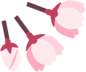 sakuratsubomi emote