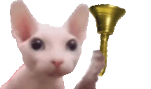 BingBong emote