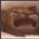 cryCat emote