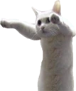 longcat1 emote