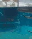 florida emoji
