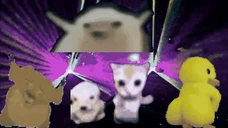 danceparty emote