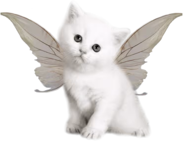 fairy_cat emote