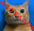 ACOSADOR emote