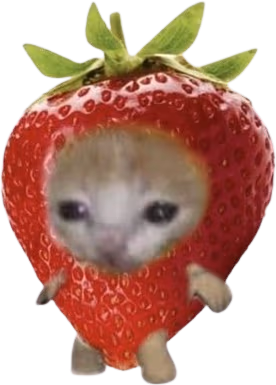 strawberry_catto emote