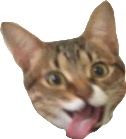 excited_cat emote