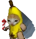 BananacatFlying emote
