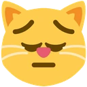 pensiv_kot emote