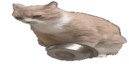 Dyreet emote