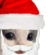 MMEOWDY animated emote