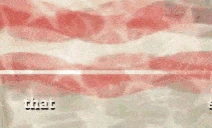 america emote