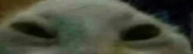 xdd1 emote