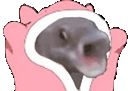 BLOOOONKIES emote