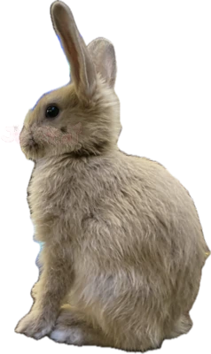 appleheadleft emote