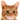 pixel_cat_wink2 emote