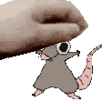 pet_rat_boi emote