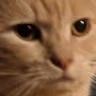 CE_Judgingu emote