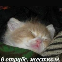 gn emote