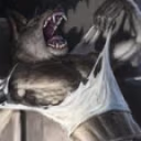 RAAAH emote