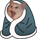 kitty_blanket emote