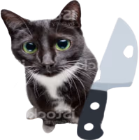 knifecat emote