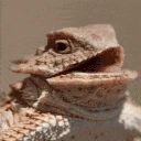 huehuehue emote