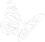 Butterfly emote