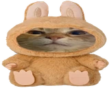 wububu emote