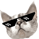 huchu_cool static emote