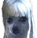 omegawkF emote
