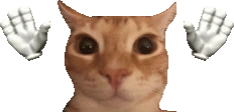 caught emote
