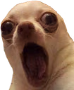 OOOO emote