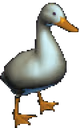 hahaDuck emote