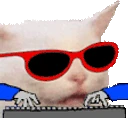 HACKERCAT emote