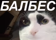 BALBES emote