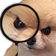 Z_Angrydog2 emote