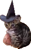 spookycat emote